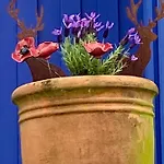Blaue Haus *