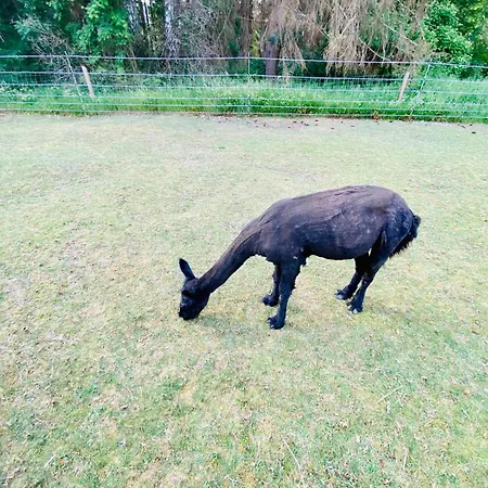 Apartamento Blaue Haus