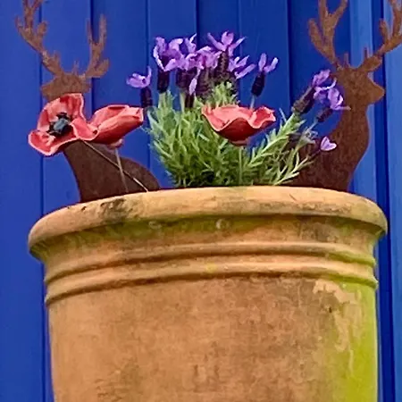 Blaue Haus *
