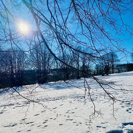 Blaue Haus * Braunlage