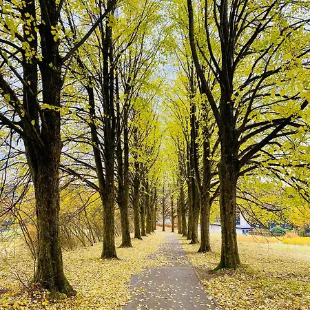 Blaue Haus Braunlage