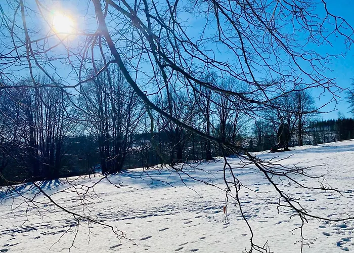 Blaue Haus * Braunlage