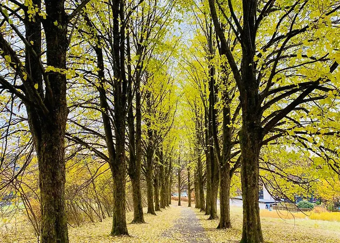 Blaue Haus Braunlage