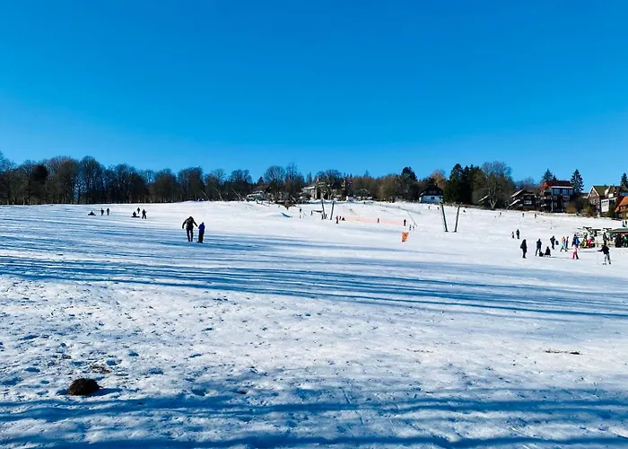 Blaue Haus Braunlage